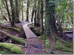 007.-Cradle-Mountain-from-Marions-Lookout-Image-By-Jeff-Crowe